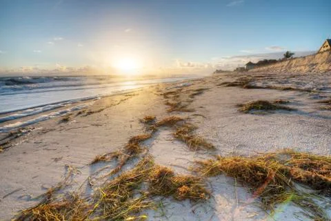Beach at Sunrise 库存照片