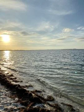 Beach sunrise Stock Photos