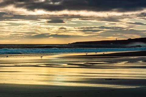 Beach sunrise Stock Photos