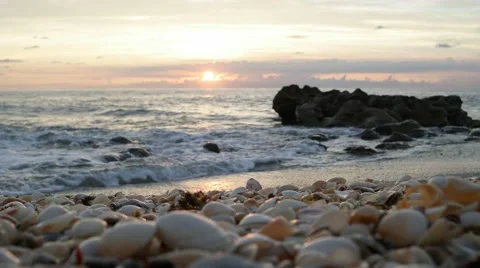 Beach Sunrise Seashells Florida Video 4k HD Ocean Sound Stock Footage 54045973