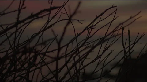 Beach Sunset 4 스톡 동영상 201310671