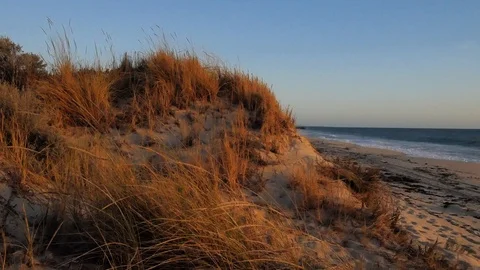 Beach at sunset 4k collection Stock Footage 106512595