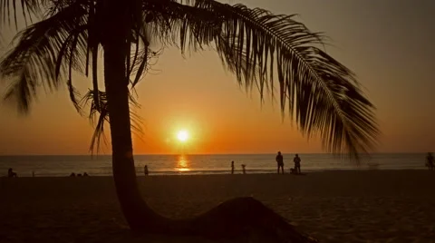 Beach Sunset and Coconut Tree Timelapse Stock Footage 60781678