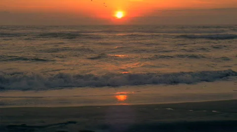 Beach Sunset Background Red Camera Video stock 502729