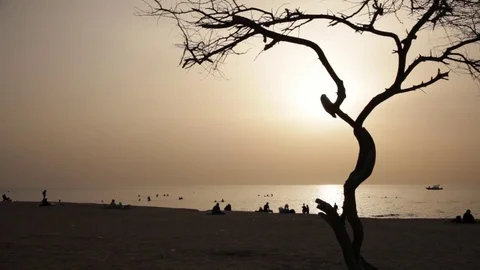 Beach at Sunset in Bahrain Stock Footage 74178576