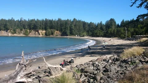 Beach at Sunset Bay State Park Stock Footage 147693338