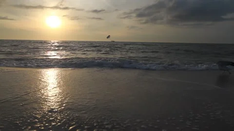 Beach Sunset bird flying Stock Footage 45589279