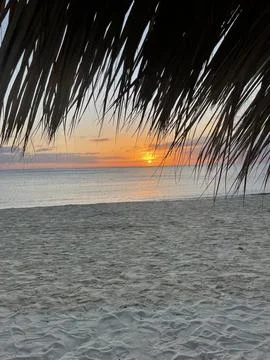 Beach Sunset in the Caribbean Stock-Fotos