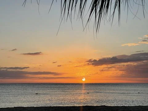 Beach Sunset in the Caribbean Stock-Fotos