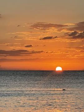 Beach Sunset in the Caribbean Stock Photos