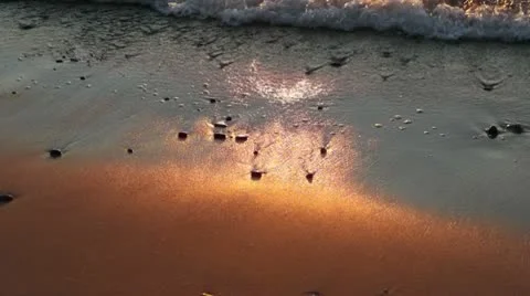 Beach at sunset Stock Footage 10578993