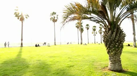 Beach Sunset 스톡 동영상 10718736