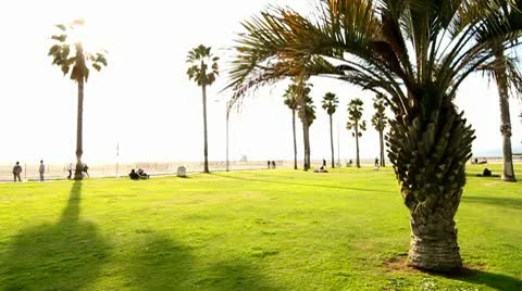 Beach Sunset Vidéo 10718739