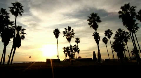 Beach Sunset Vidéo 10718742