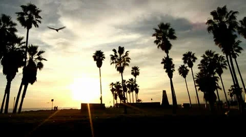 Beach Sunset Vidéo 10718744