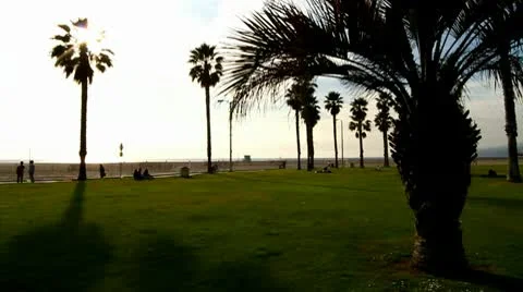 Beach Sunset 스톡 동영상 10718753