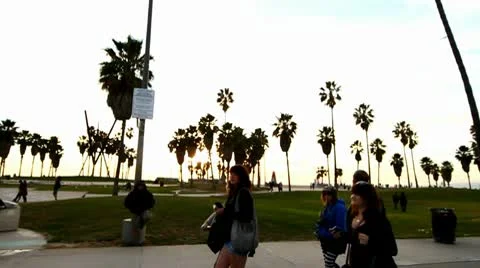 Beach Sunset Vidéo 10722055