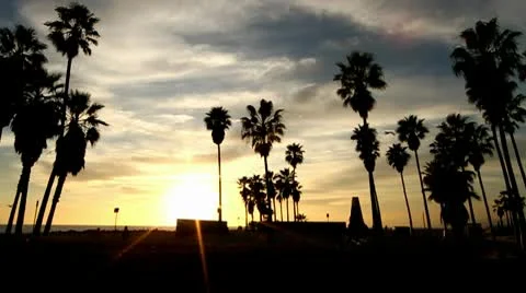 Beach Sunset Vidéo 10722060