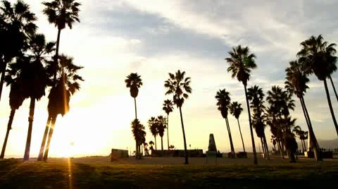 Beach Sunset Vidéo 10722061