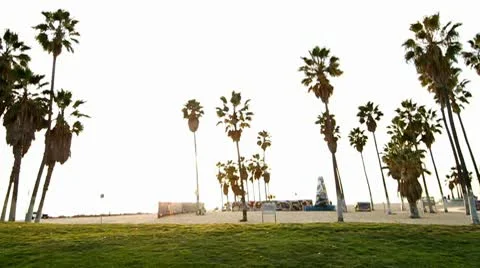 Beach Sunset Vidéo 10722063