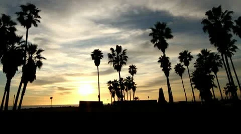 Beach Sunset Vidéo 10722068