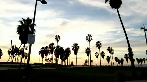 Beach Sunset Vidéo 10722084