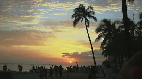 Beach sunset Stock Footage 11219526