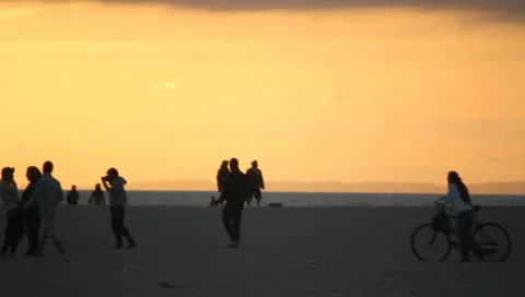 Beach at Sunset Stock Footage 11360533