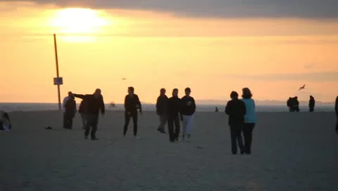 Beach at Sunset Stock Footage 11360547