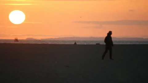 Beach at Sunset Stock Footage 11360607