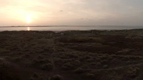 Beach Sunset Stock Footage 44400138