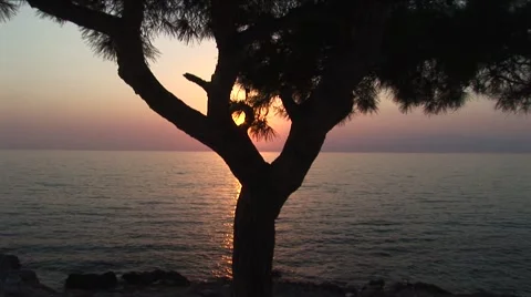 Beach sunset Stock Footage 52634317