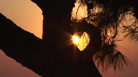 Beach sunset Stock Footage 52642140