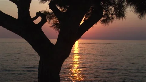 Beach sunset Stock Footage 52654644