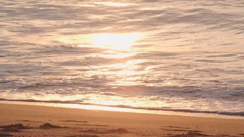 Beach at sunset Stock Footage 122442153