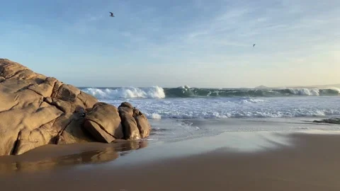 Beach sunset Stock Footage