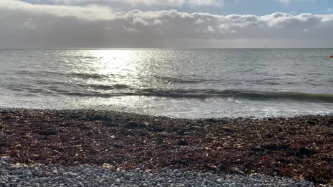 Beach at sunset 動画素材 166942059