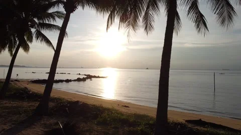 Beach Sunset 库存影片 208575773