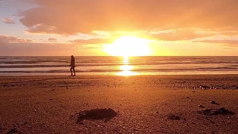 Beach at Sunset Stock Footage 232065095