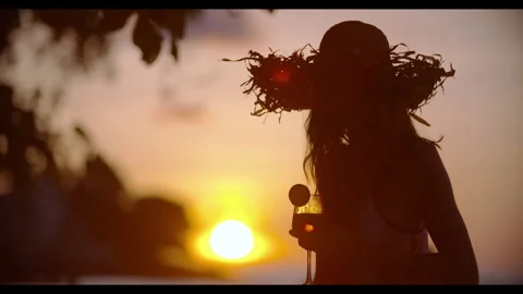 Beach sunset 스톡 동영상 300666646