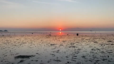 Beach sunset in Koh Phangan Видео 344882156