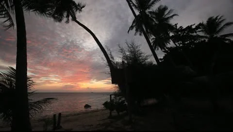 Beach sunset with palm tree silhouettes @ Koh Phangan, Thailand Stock Footage 11016650