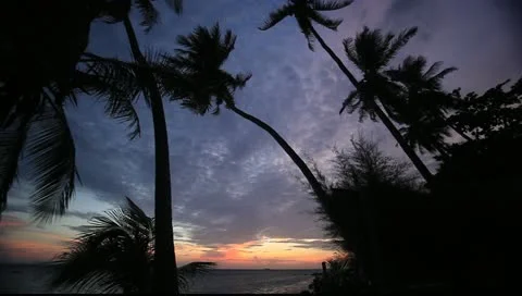 Beach sunset with palm tree silhouettes @ Koh Phangan, Thailand 2 Stock Footage 11016695