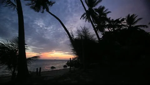 Beach sunset with palm tree silhouettes @ Koh Phangan, Thailand 3 Stock Footage 11016736