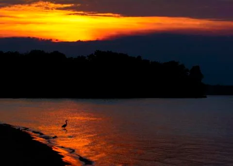 Beach  sunset Stock Photos