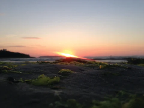Beach sunset Stock Photos