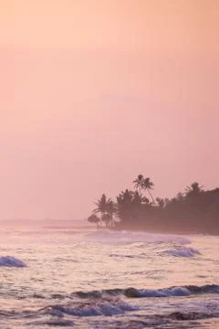 Beach sunset Stock Photos