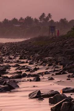 Beach sunset Stock Photos