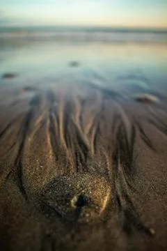Beach sunset Stock Photos