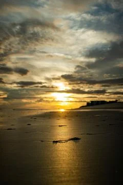 Beach sunset Stock Photos